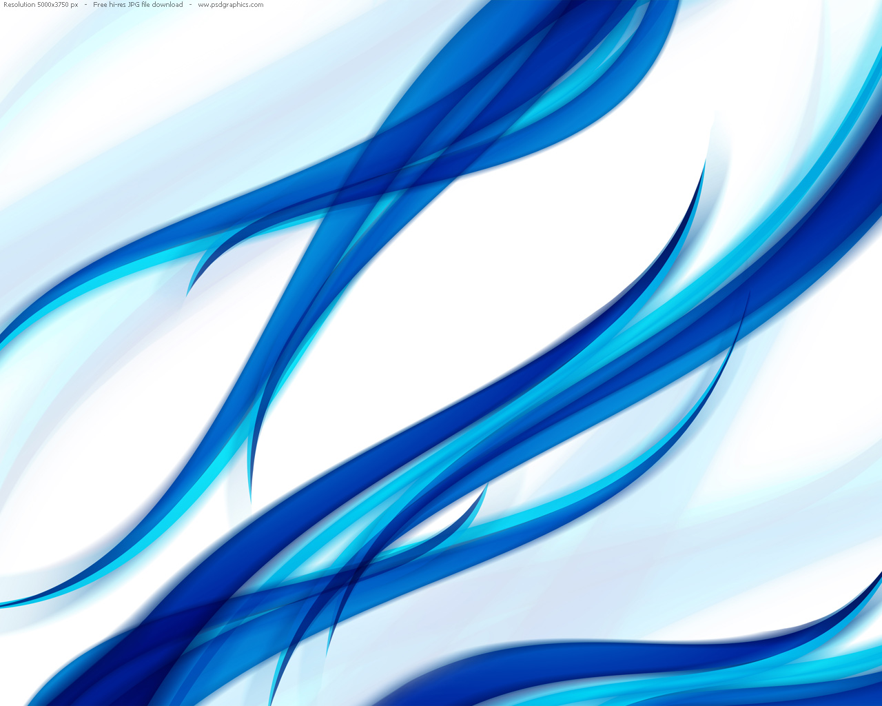 blue-floral-background.jpg