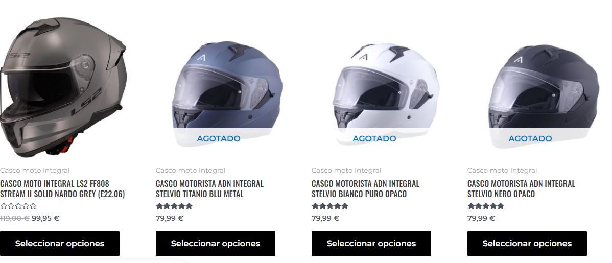 casco.JPG